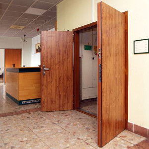 ADLO - Sicherheitst�r LISBEO, doppelfl�gelig 75x75cm, Design glatt, T�roberfl�che DR354