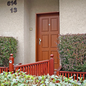 ADLO - Thermo-Au�enraumt�r TEDUO, Leistenausf�hrung LB 350, Oberfl�che Geta 656, beklebte T�rzarge