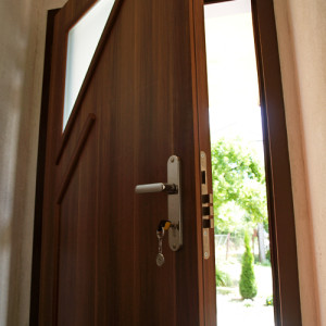 ADLO - Thermo-Sicherheitst�r JUBEO, verglast, Dreifachglas P452, Glas Matelux, Leisten LOG-339