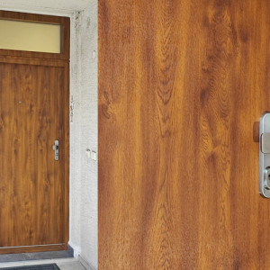 ADLO - Thermo-Au�enraumt�r TEDUO mit Fixteil, Verkleidung der T�rzarge und des Fixteils in Termal Oberfl�che