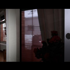 ADLO - Sicherheitst�r TEDUO, Profilausf�hrung Color F152, f�rs Exterieur, L�rmschutz