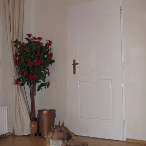 ADLO - Sicherheitst�r TEDUO, Profilausf�hrung Color F152, f�rs Exterieur, L�rmschutz