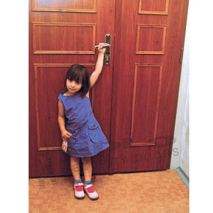 ADLO - Sicherheitst�r TEDUO, Leistenausf�hrung LR250, zweifl�gelige