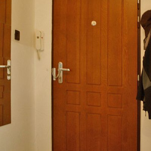 ADLO - Sicherheitst�r ZENEX, profiliert F 321, Oberfl�che massiv, Sicherheitst�rkette