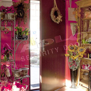 ADLO - Sicherheitst�r TESIM, Termo Exterieur T�r und Zarge, L�rmschutz