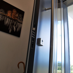 ADLO - Thermo-Sicherheitst�r Tesim, verglast PS370, atyp. T�rgriff, T�roberfl�che RAL 7015