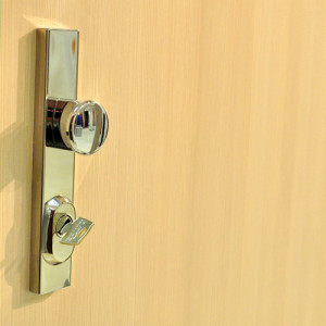 ADLO - Sicherheitst�r LISBEO, Oberfl�che BRE 387, Reihe Economy, Wohnungseingang