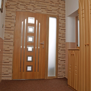 ADLO - Thermo-Sicherheitst�r LISBEO, verglast P553, Edelstahlleisten, Fixteil mit Dreifach-Panzerglas