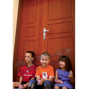 ADLO - Sicherheitst�r TEDUO, zweifl�gelige, Profilausf�hrung Furnier F250