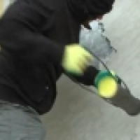 Gro�er Test von Sicherheitst�ren in �sterreich