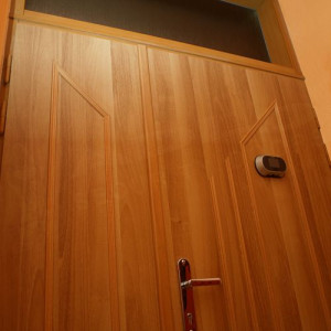 ADLO - Sicherheitst�r ADUO, Leistenausf�hrung mit Oberlichte, digitales Schauloch