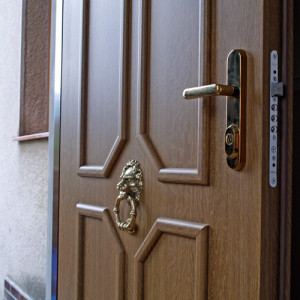 ADLO - Thermo-Sicherheitst�r ADUO, Leistenausf�hrung LB 420, Oberfl�che Geta 173, T�rklopfer L�we