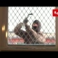 Verglastes Fixelement ADLO mit Dreifachsicherheitsglas mit Ausgitterung Verglastes Fixelement ADLO mit Dreifachsicherheitsglas mit Ausgitterung